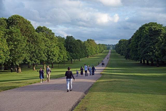 Windsor Great Park